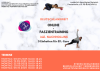 Deutschlandweites Online-Faszientraining – starte wieder mit mehr Beweglichkeit und weniger Verspannungen!